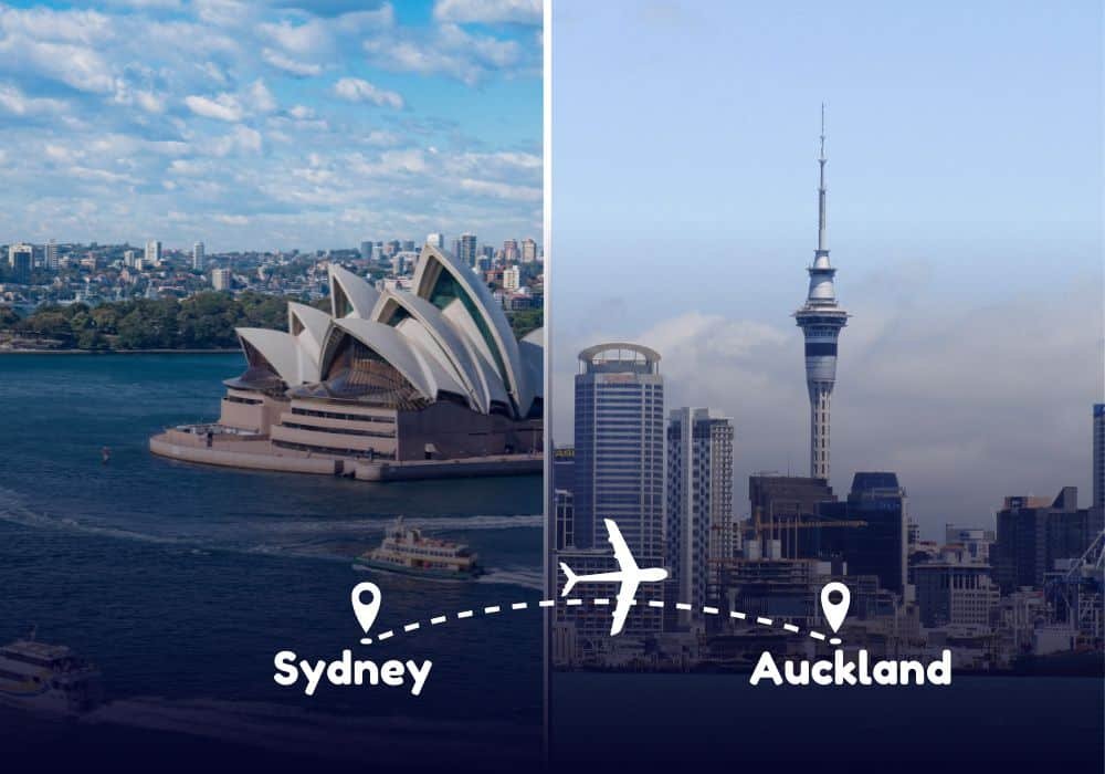 Sydney to Auckland